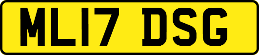 ML17DSG