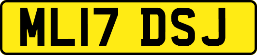 ML17DSJ