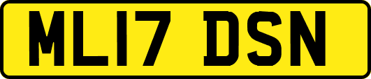 ML17DSN