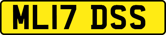 ML17DSS