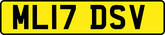 ML17DSV