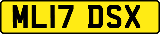 ML17DSX