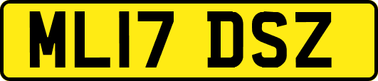 ML17DSZ