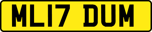 ML17DUM