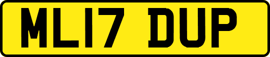 ML17DUP