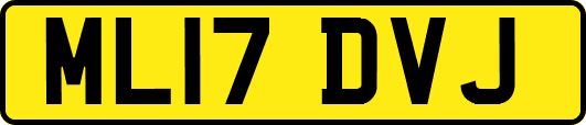 ML17DVJ