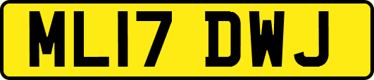 ML17DWJ