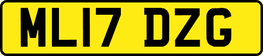 ML17DZG