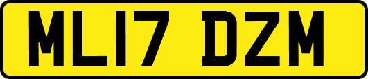 ML17DZM