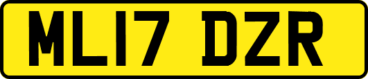 ML17DZR