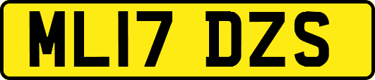 ML17DZS