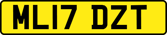 ML17DZT