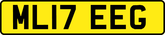 ML17EEG