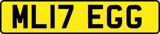 ML17EGG