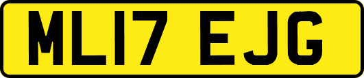 ML17EJG