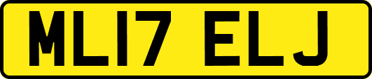 ML17ELJ
