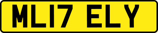 ML17ELY