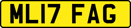 ML17FAG