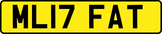 ML17FAT