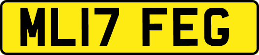 ML17FEG
