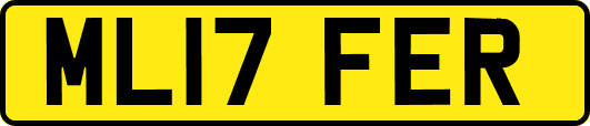 ML17FER