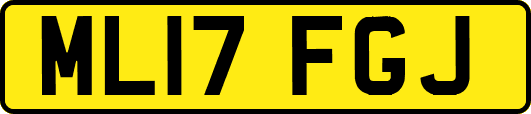 ML17FGJ