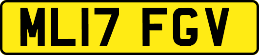 ML17FGV