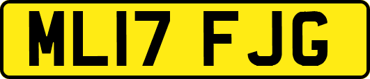 ML17FJG