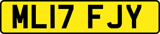 ML17FJY