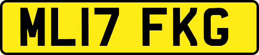 ML17FKG