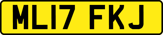 ML17FKJ