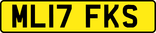 ML17FKS