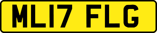 ML17FLG