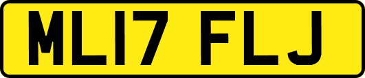 ML17FLJ