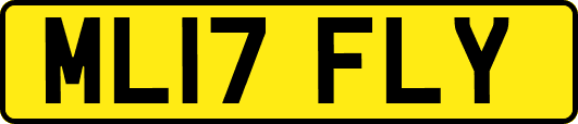 ML17FLY
