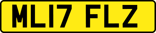 ML17FLZ