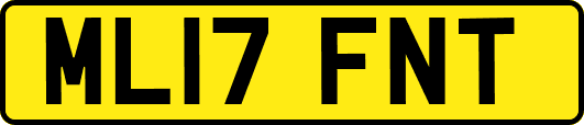 ML17FNT