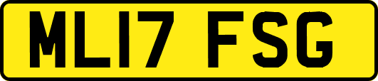 ML17FSG