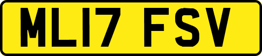 ML17FSV