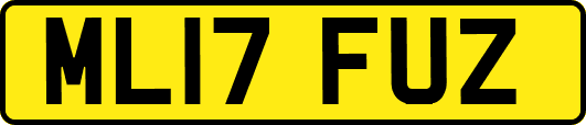ML17FUZ