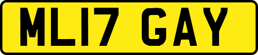ML17GAY
