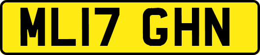 ML17GHN