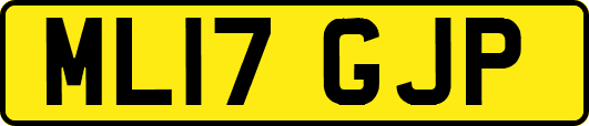 ML17GJP
