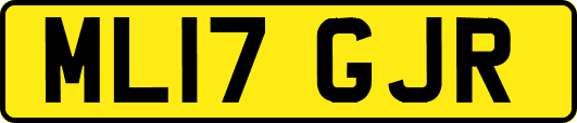 ML17GJR