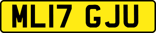ML17GJU