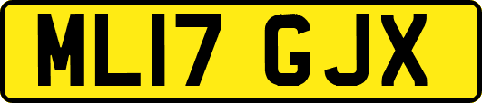 ML17GJX