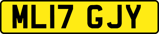 ML17GJY