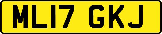 ML17GKJ