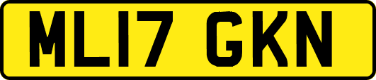 ML17GKN