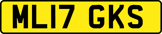 ML17GKS